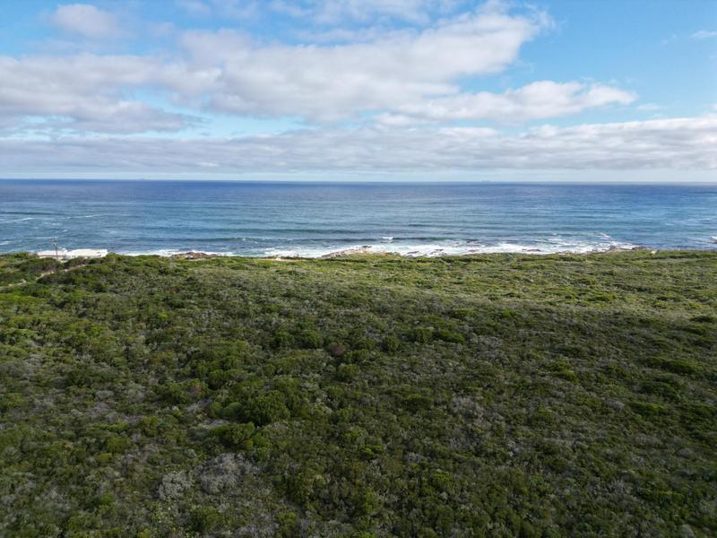 0 Bedroom Property for Sale in Birkenhead Western Cape